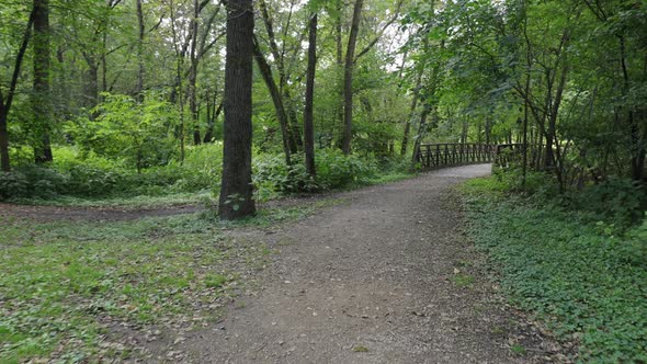 Hiking in the forest, over the wooden plank steel bridge farther into nature. Lush green foliage.