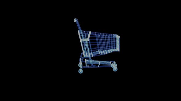 The Hologram of a Particle Shopping Cart
