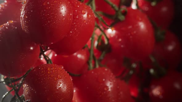 Cherry Tomatoes with Water Splash at a Dark Background