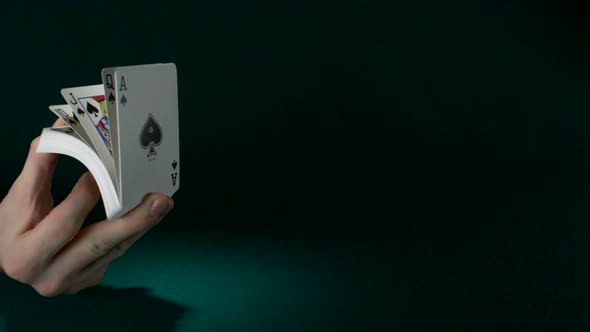Spraying  playing cards, Slow Motion alt