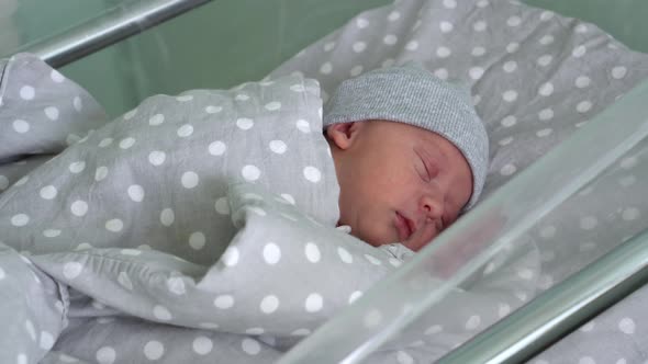 Newborn Baby Red Cute Face Portrait Early Days Sleeping In Medical Glass Bed On Grey Background