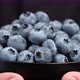 Female holding bowl with fresh blueberries fruits - VideoHive Item for Sale
