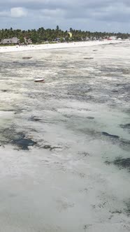 Tanzania  Vertical Video of Low Tide in the Ocean Near the Coast of Zanzibar Slow Motion