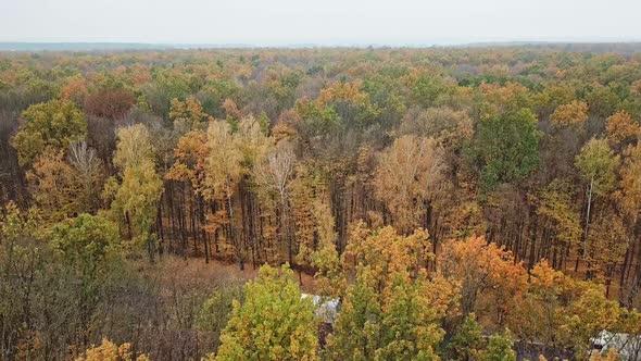 Highway road in rural area. Aerial view of highway road through forest