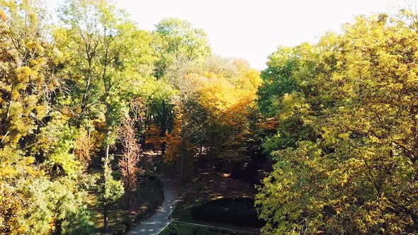 View on holiday park alley. Aerial view of a city park with walking path and green zone trees