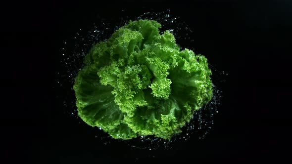 Super Slow Motion Shot of Rotating and Splashing Fresh Lettuce at 1000Fps.