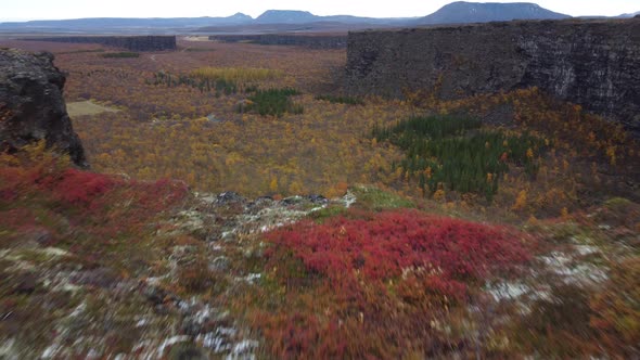 Asbyrgi Canyon Sliding Camera in Iceland