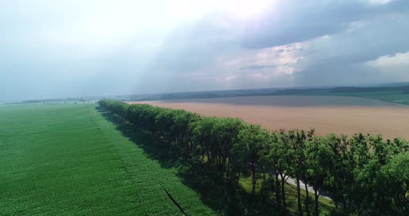 Drone flies over rural fields, beautiful landscape