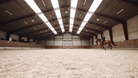 Young Woman Riding Bareback On Horse Running Through Paddock