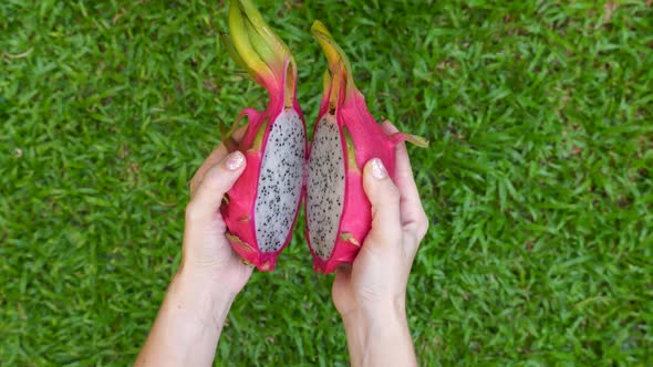 Closeup of Woman Hands Open Two Halves of Fresh White Dragon Fruit Pitaya