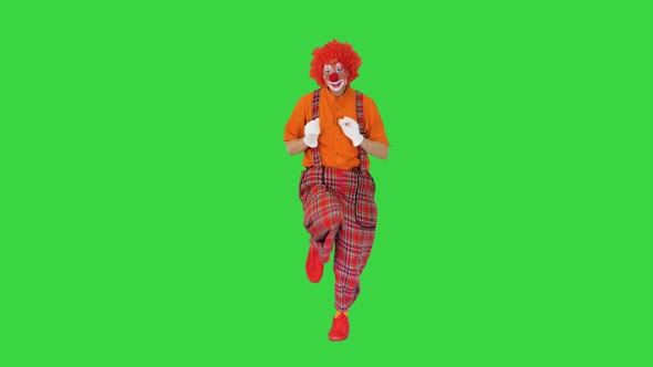 Clown in Red Wig Walking and Dancing in a Funny Manner on a Green Screen Chroma Key