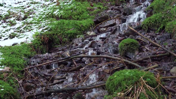 Water draining from the mountains in a black forest.