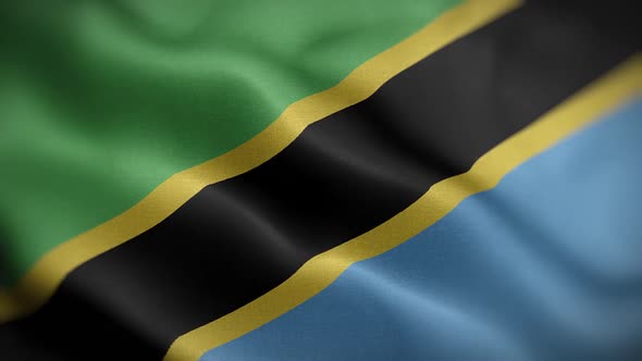 Tanzania Flag Textured Waving Front Background HD