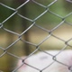 A Footage of an Albino Coypu Trying to Get Out of Its Cage - VideoHive Item for Sale