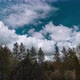 Rural Landscape with Trees, Fluffy Dramatic Clouds and Blue Sky Time Lapse - VideoHive Item for Sale