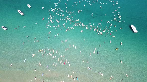 Beautiful clear water beach fly over of a large group  of paddle boarders paddling out.