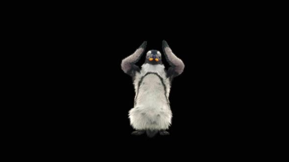 Penguin Dancing HD