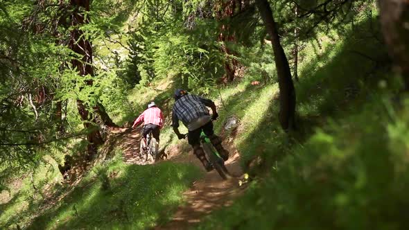 A group of mountain bikers riding in a forest.