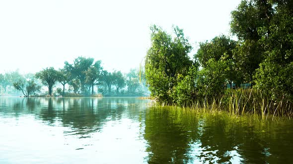 Scenic View of the Park in the Center of the Big City in the Summer