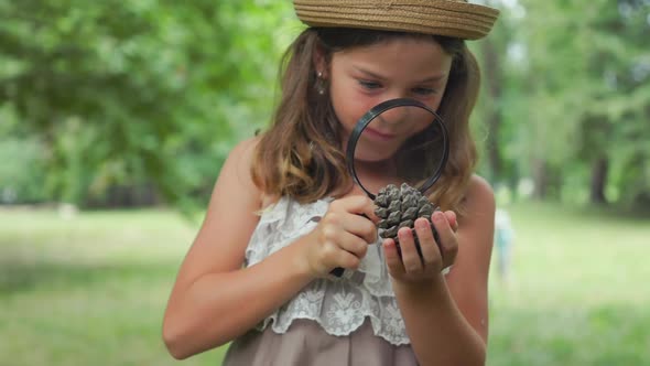 Closeup portrait of caucasian little girl in a straw hat looks at pine cone through a magnifier