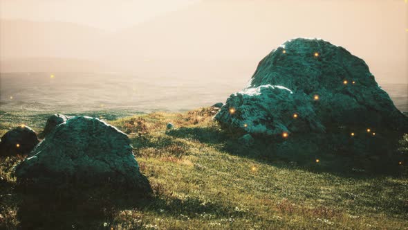 Alpine Meadow with Rocks and Green Grass