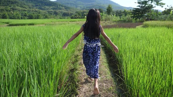 Back Of Little Girl Running In Rice Field