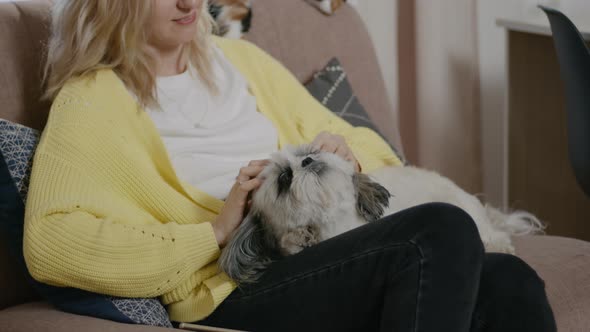 Woman Stroking Cat and Dog While Sitting on Couch in Apartment Room Rbbro
