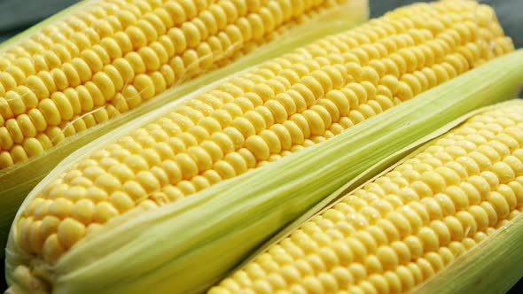 Fresh Yellow Corn in Leaves