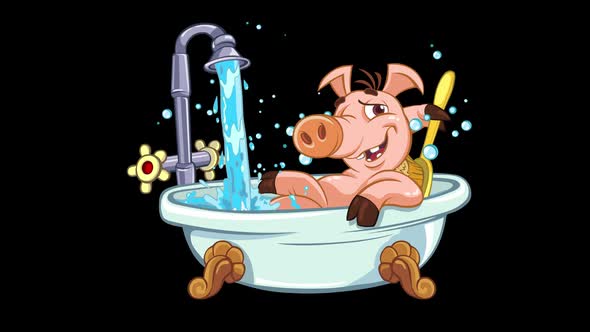 Bathing pig alt