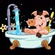 Bathing pig - VideoHive Item for Sale