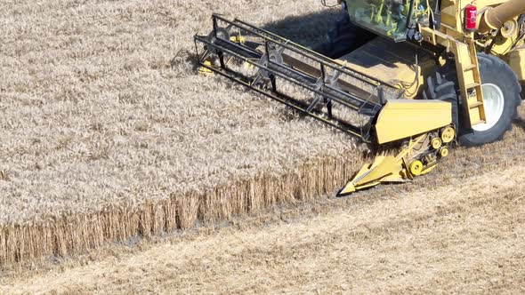 Combine Harvester Agriculture Farm Land Grain Harvest Machinery in Golden Colored Field Farming