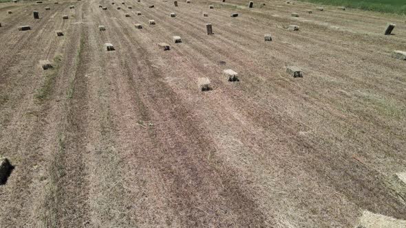 Straw bales field