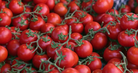 Ripe Juicy Red Tomatoes on Market Closeup