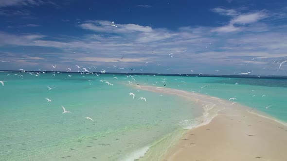 Seagulls flying over sandy beach washed by shallow azure seawater