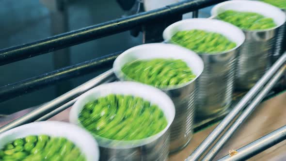 Factory Transportation of Green Peas in Tin Cans