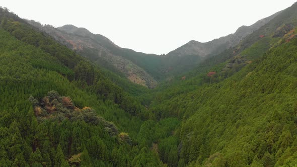 Aerial drone through forested valley, Japan