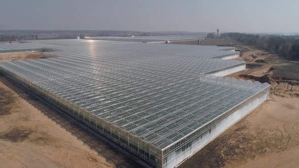 Flying Over Glass Greenhouses Growing Plants in Large Industrial Greenhouses Panoramic View From a