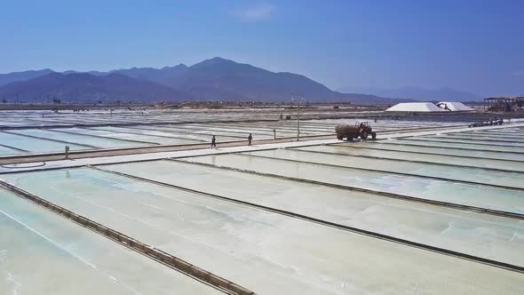 Huge Plantations Produce Salt Evaporating Seawater