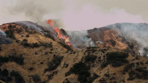 Wildfire Brush Fire 3