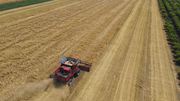 From Above of Agricultural Combine Harvests Wheat in Field