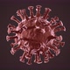 The virus Coronavirus (COVID-19) medical animation. - VideoHive Item for Sale