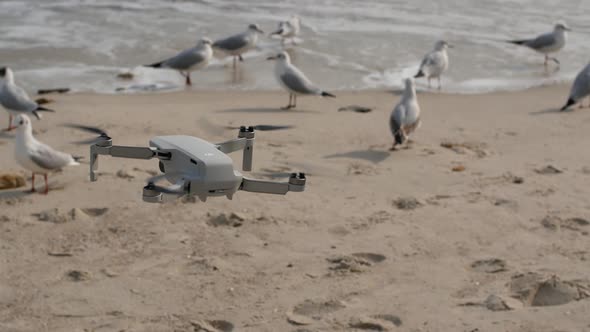 Small drone hovering in the air on the beach on a sunny day. Drone flying in the air