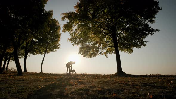 Wide View of Silhouettes of a Man Walking with a Dog During Amazing Sunset