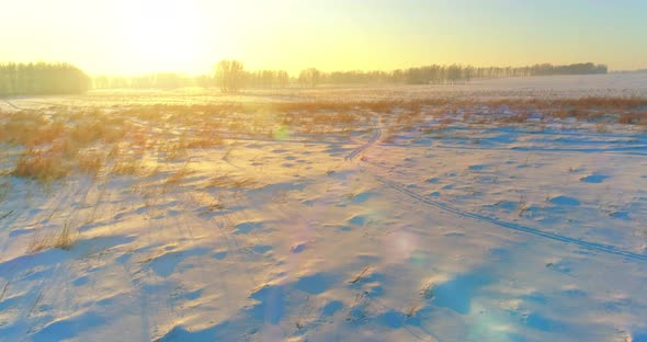 Aerial Drone View of Cold Winter Landscape with Arctic Field, Trees Covered with Frost Snow and