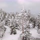 Snowy mountains with coniferous deciduous trees covered with snow against the cloudy sky - VideoHive Item for Sale