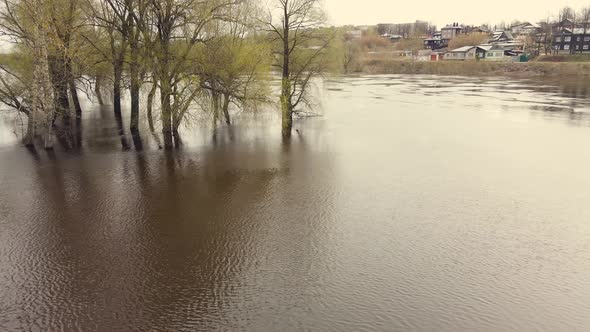 Huge Spring Flood River Overflow Flooded Trees Aerial View