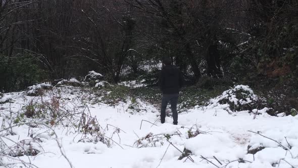 Walk Snowcapped Forest