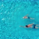 A Top View of a Man and a Boy Swimming in a Clear Open Swimming Pool - VideoHive Item for Sale