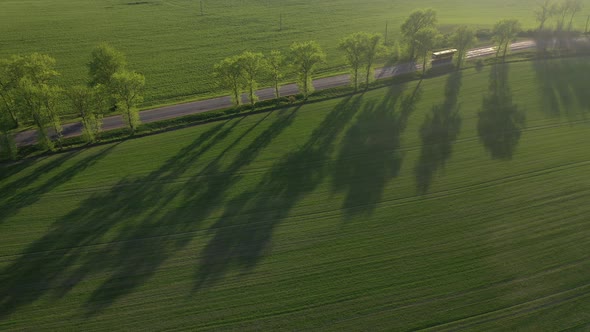 Aerial View of a Green Field and a Road .Green Field in Europe.Nature Of Belarus.Sown Green Field at