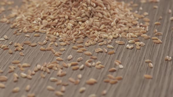 Wheat spelt grain close up rotating on wooden background.Organic agriculture, healthy nutrition, ve